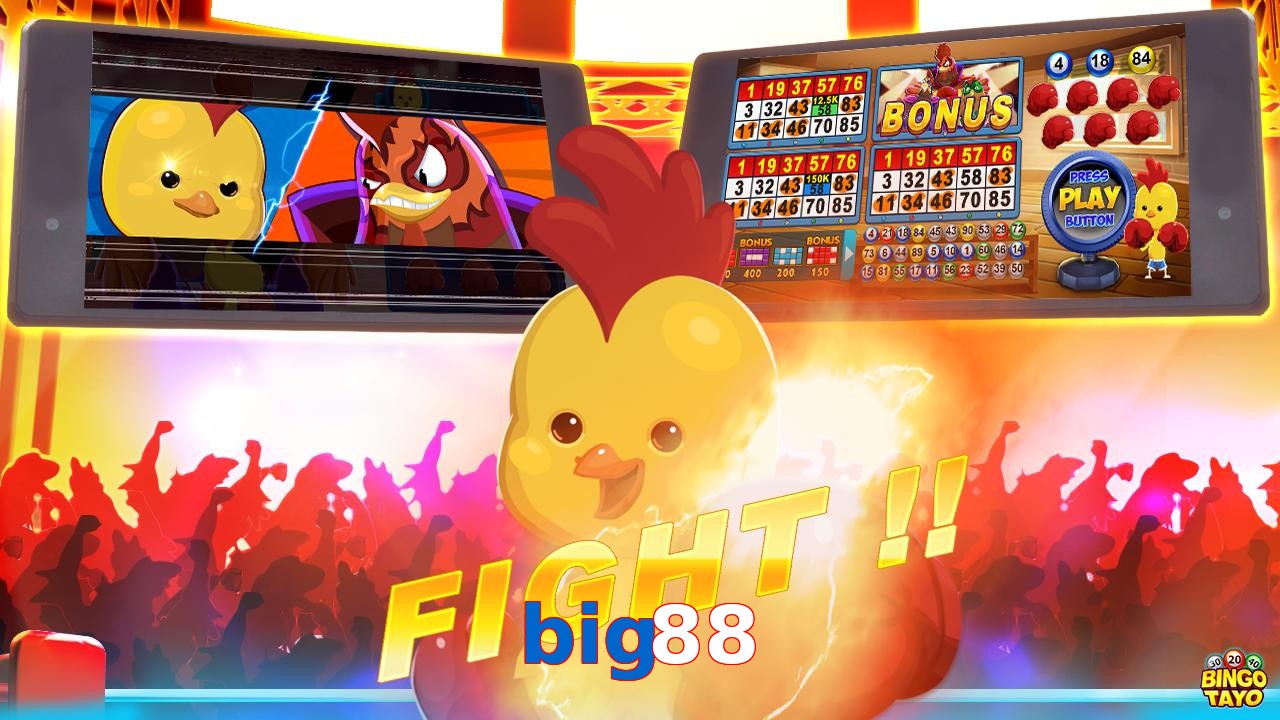 big88
